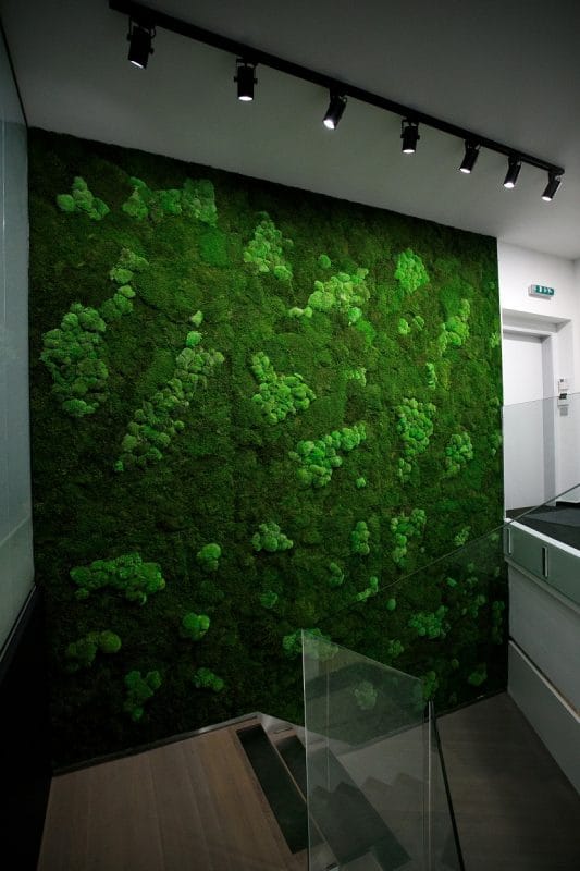 Blick entlang der Mooswand von GREENIN im Treppenlauf des PS Gebäudes