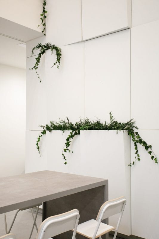 Weiße Wandstruktur mit stabilisierten Pflanzenakzenten im Innenraum eines Retailbereichs – GREENIN