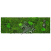 Moosbild GREENIN Leafy_Pflanzenbild_40x120