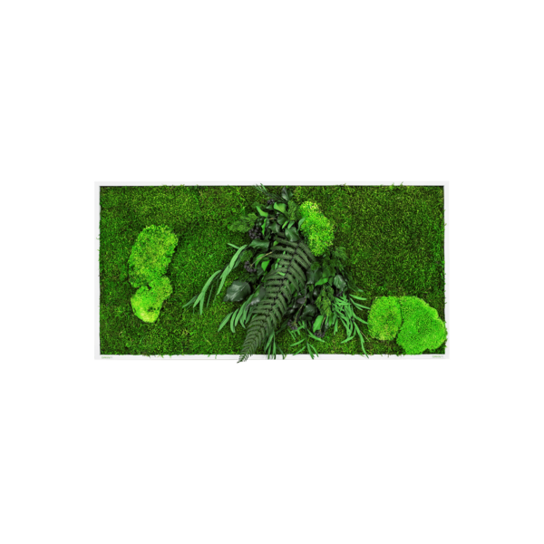 Moosbild GREENIN Leafy_Pflanzenbild_40x80