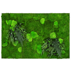 Moosbild GREENIN Leafy_Pflanzenbild_80x120