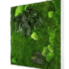 Moosbild GREENIN Leafy_Pflanzenbild_80x80_persp.