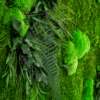 Moosbild GREENIN Leafy_Pflanzenbild_detail