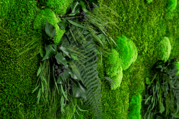 Moosbild GREENIN Leafy_Pflanzenbild_detail