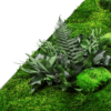 Moosbild GREENIN Leafy_Pflanzenbild_detail_Pflanzeninsel
