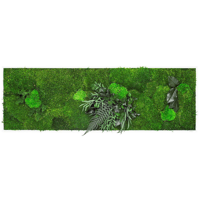 Moosbild Leafy 40x120_NATURALDESIGN.at