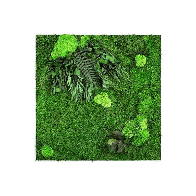 Moosbild Leafy 80x80_NATURALDESIGN.at