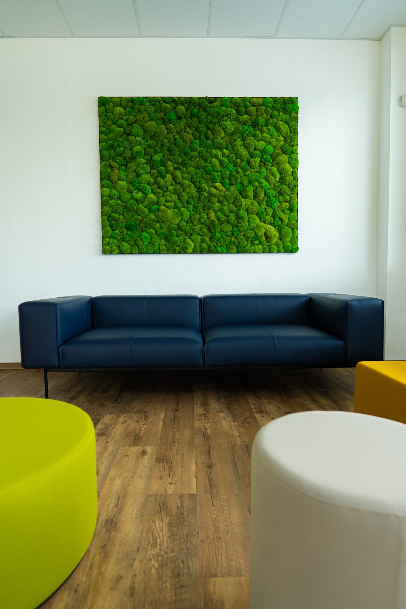Moosbild GREENIN Hill | Kugelmoos | Kamax | NATURALDESIGN.at