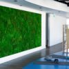 Mooswand im Chillout- und Communitybereich der O2 Offices