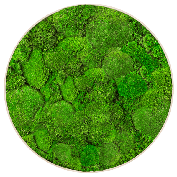 Kugelmoosbild GREENIN Hill-Rundes Moosbild o80