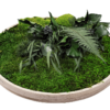 Moosbild GREENIN Leafy_Wandbild mit Pflanzen_Detail