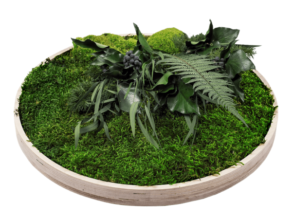 Moosbild GREENIN Leafy_Wandbild mit Pflanzen_Detail