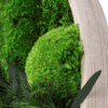 Moosbild GREENIN Leafy_Wandbild mit Pflanzen_Rahmen Bilder