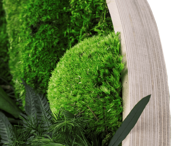 Moosbild GREENIN Leafy_Wandbild mit Pflanzen_Rahmen Bilder