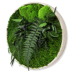 Moosbild GREENIN Leafy_Wandbild mit Pflanzen_Sperrholz