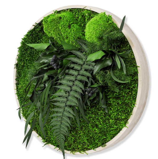 Moosbild GREENIN Leafy_Wandbild mit Pflanzen_Sperrholz