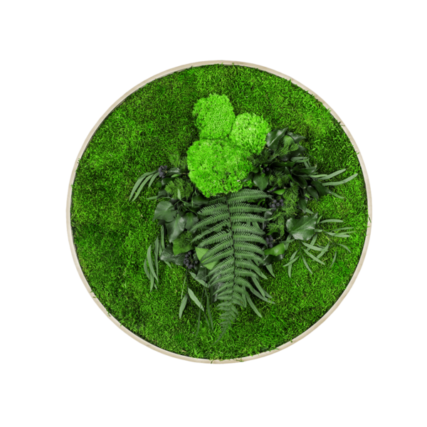 Moosbild GREENIN Leafy_Wandbild mit Pflanzen_o60