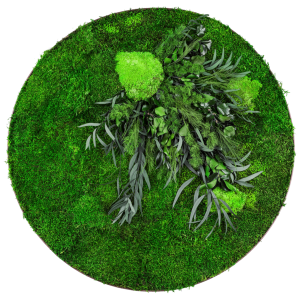 Moosbild GREENIN Leafy_Wandbild mit Pflanzen_o80