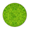Inspirierendes Bild aus Moos GREENIN