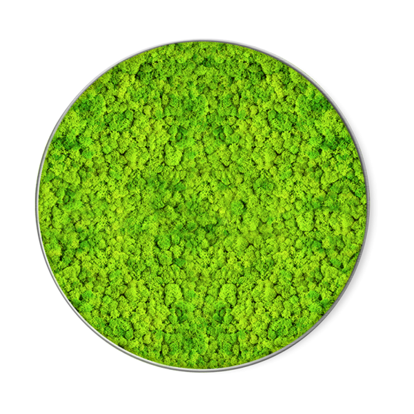 Inspirierendes Bild aus Moos GREENIN