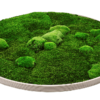 Moosbild GREENIN Wood_Sperrholz Rahmen_Bild mit Moos