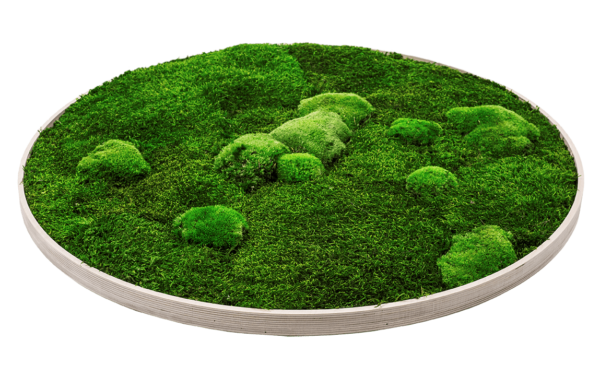 Moosbild GREENIN Wood_Sperrholz Rahmen_Bild mit Moos