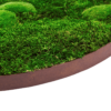 Moosbild mit Corten Rahmen_Bild mit Moos