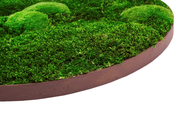 Moosbild mit Corten Rahmen_Bild mit Moos
