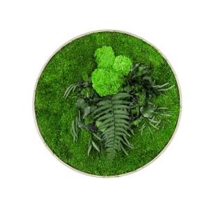 Rundes Moosbild GREENIN Leafy Dmr. 60_NATURALDESIGN.at