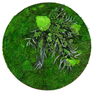 Rundes Moosbild GREENIN Leafy Dmr. 80_NATURALDESIGN.at