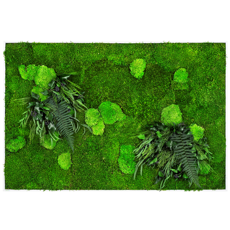 moos-wandbekleidung-waldmoos-pflanzen-naturaldesign.at
