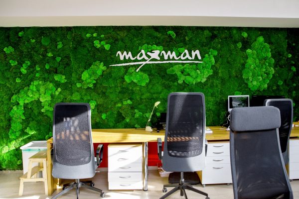 Mooswand GREENIN_Maxman_moosbilder.at