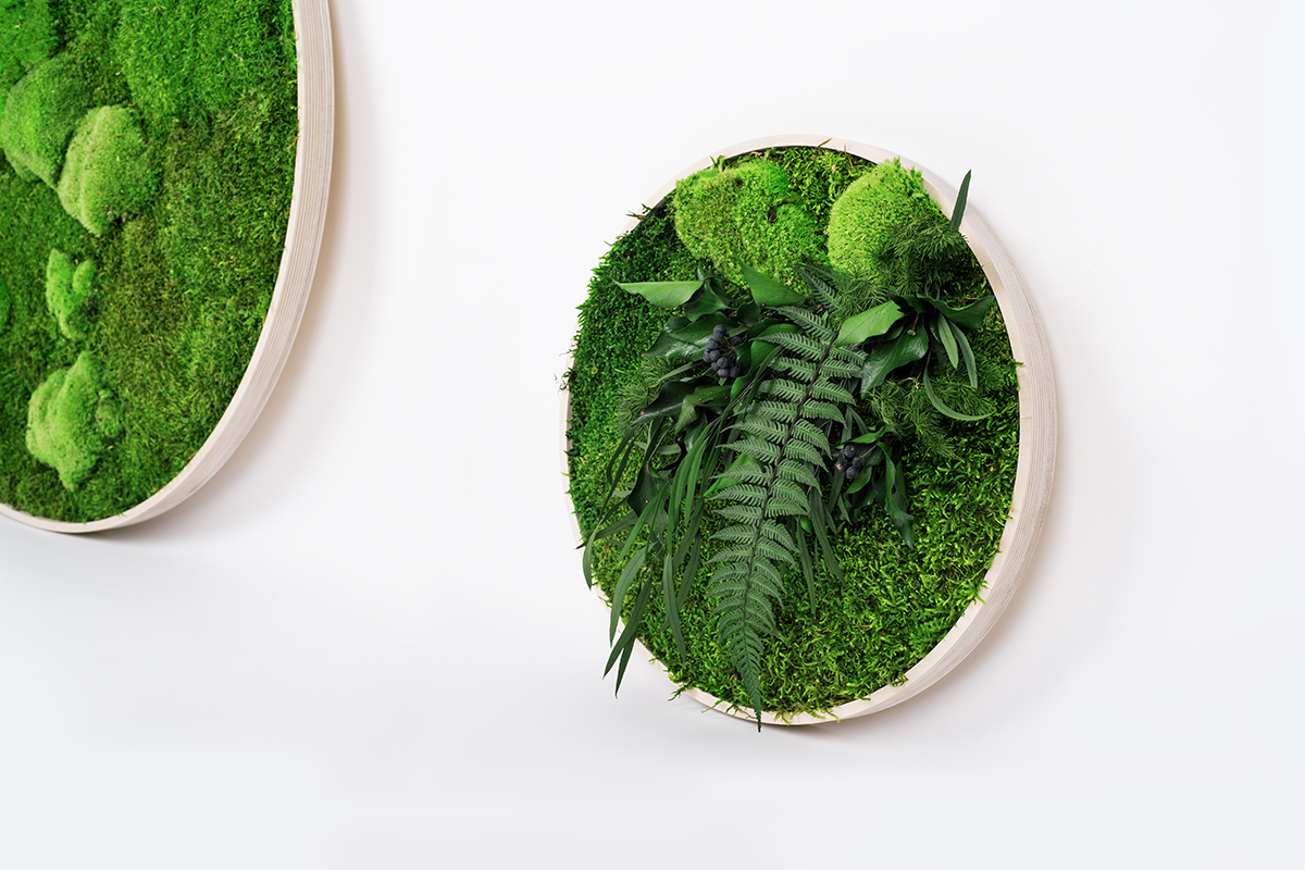 Moosbilder GREENIN Leafy_Sperrholz_banner01_naturaldesign.at