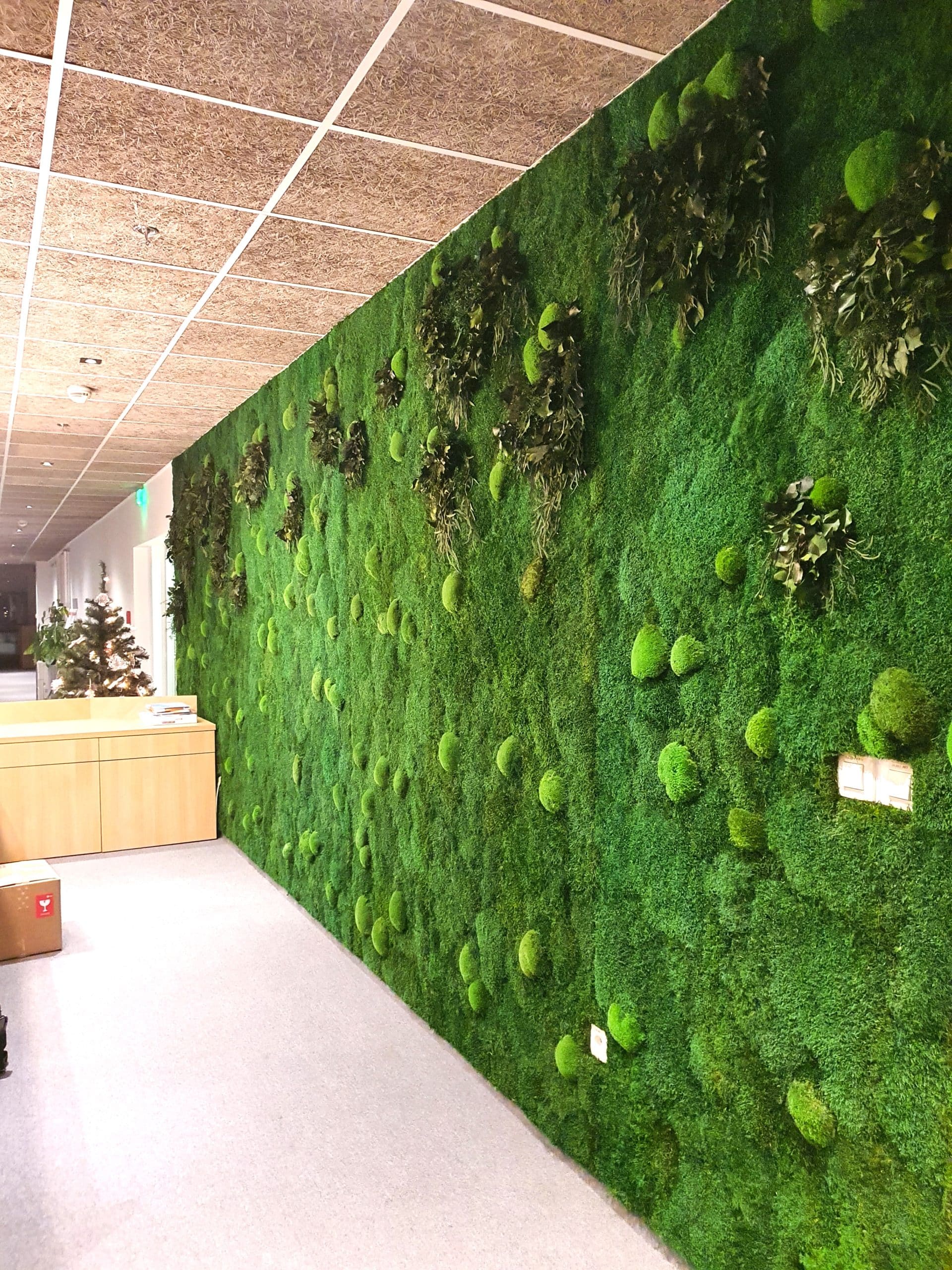 Mooswände als Wandverkleidung_NATURALDESIGN.at
