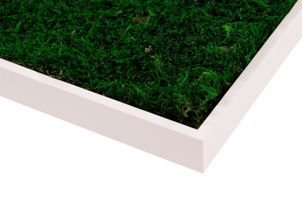 Moosbild "Hill" 40x120 cm - Image 8