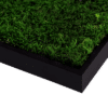 Holzrahmen-schwarz-Moosbilder GREENIN