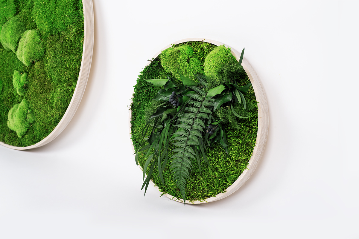 Runde Moosbilder GREENIN