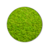 Rundes Moosbild GREENIN Soft_o60_Bild aus Moos