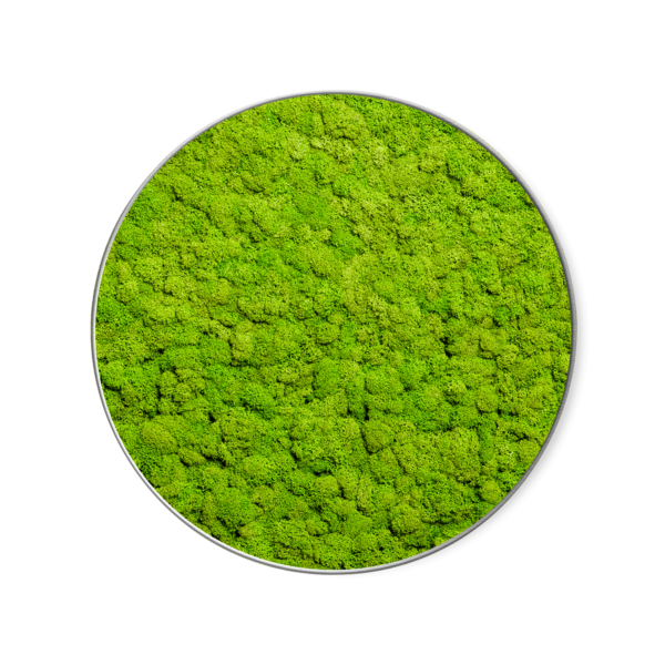 Rundes Moosbild GREENIN Soft_o60_Bild aus Moos