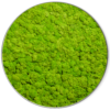Rundes Moosbild GREENIN Soft_o80_Bild aus Moos