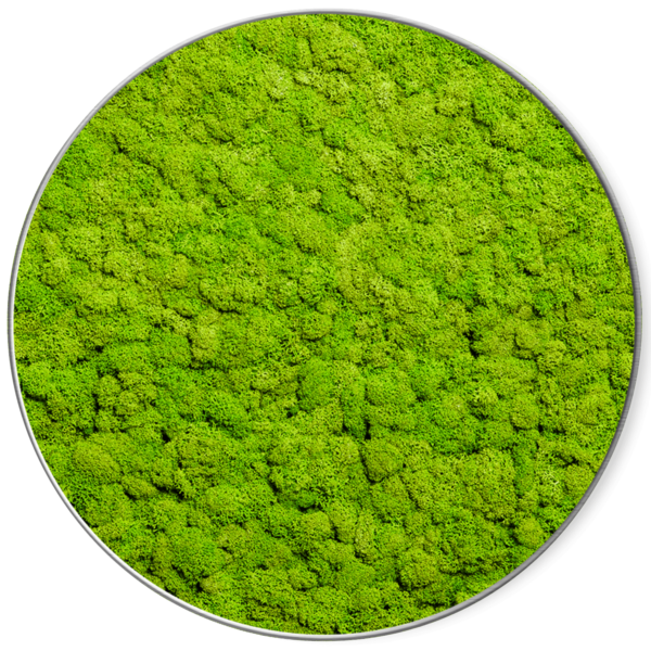 Rundes Moosbild GREENIN Soft_o80_Bild aus Moos