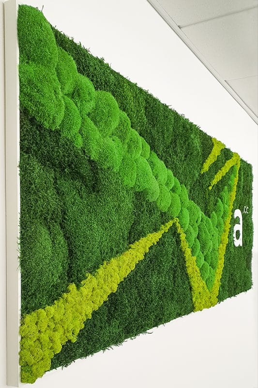 Massgeschneiderstes GREENIN Moosbild-Andys.cc-moosbilder.at