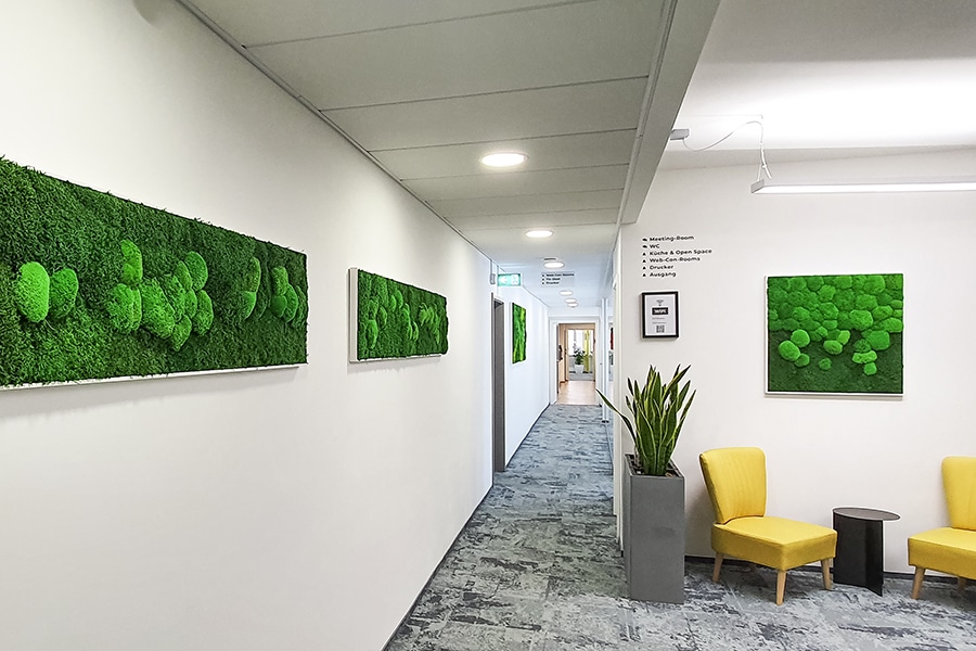 Sustainable office design with GREENIN Decoration and Pictures von Moss