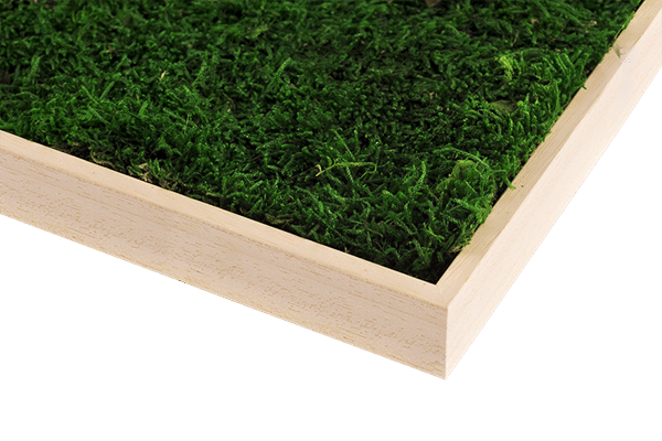 NaturHolzRahmenNielsen_GREENIN Moosbild