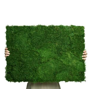 Moos Paneele-Waldmoos-GREENIN