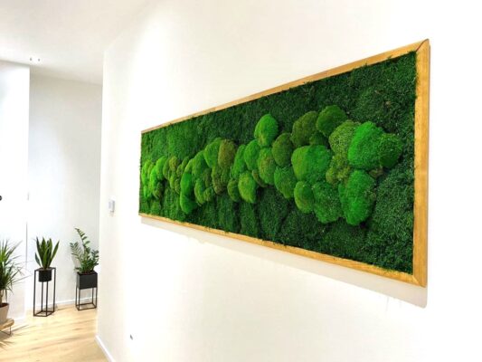 Moosbild XXL GREENIN von NATURALDESIGN.at_privatkunde02
