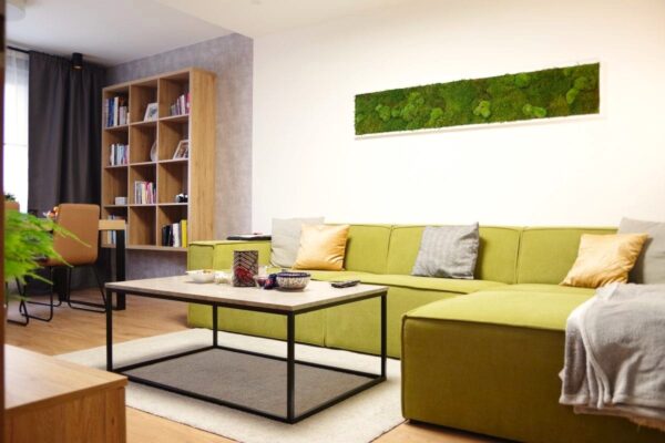 Moosbild XXL mit Kugelmoos-Wohnzimmer Einrichtung-GREENIN Moosbilder