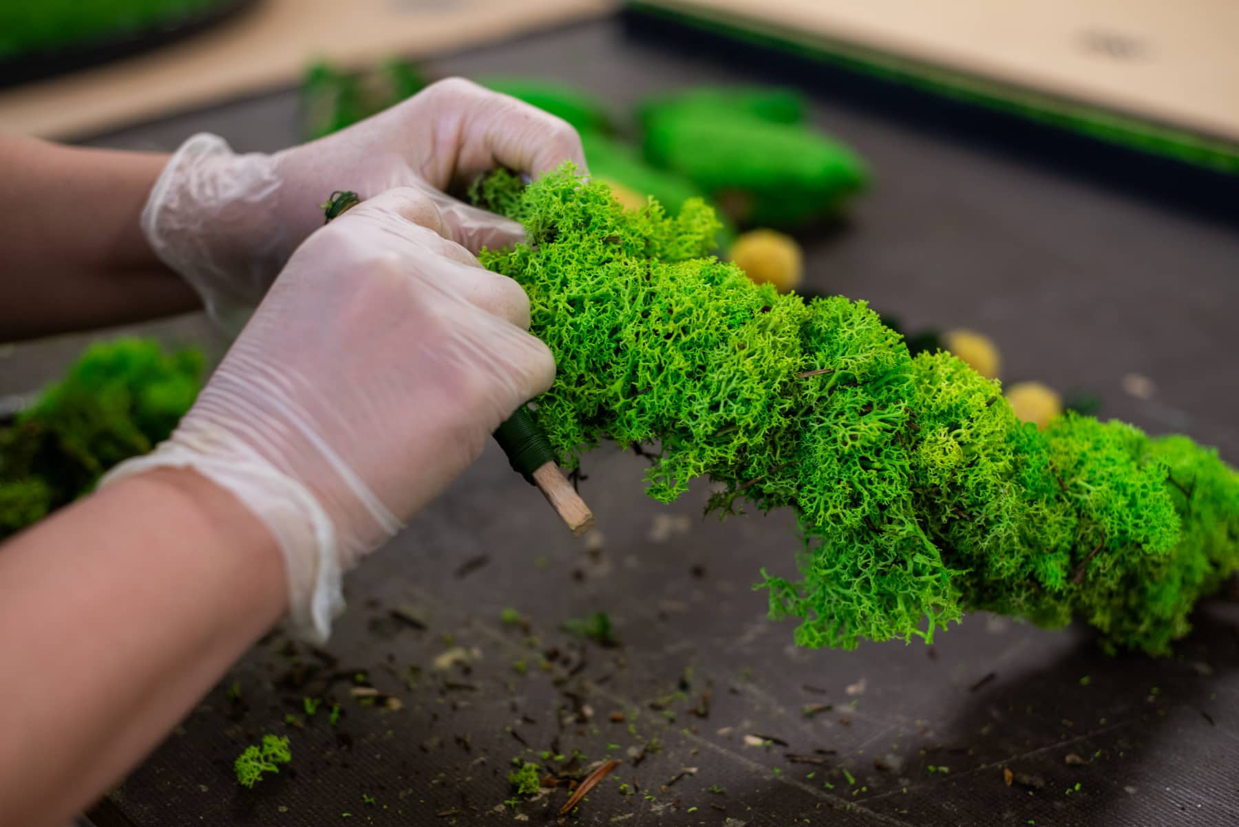 DIY Kranz aus Moos - GREENIN Moosbilder