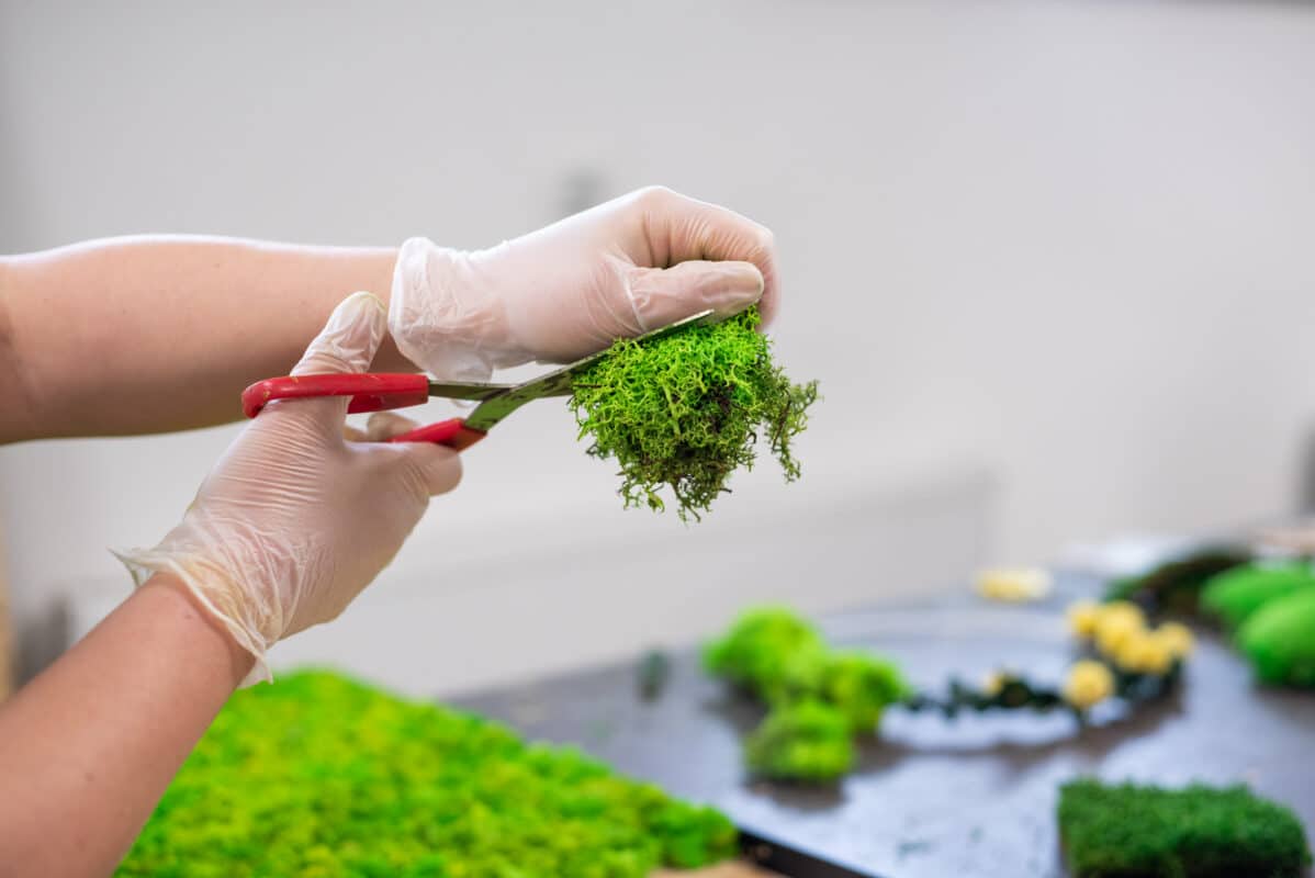 Nachhaltigkeit-GREENIN Moosbilder