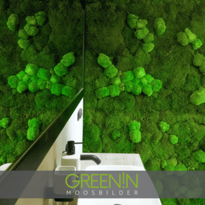 Moos im Badezimmer-GREENIN